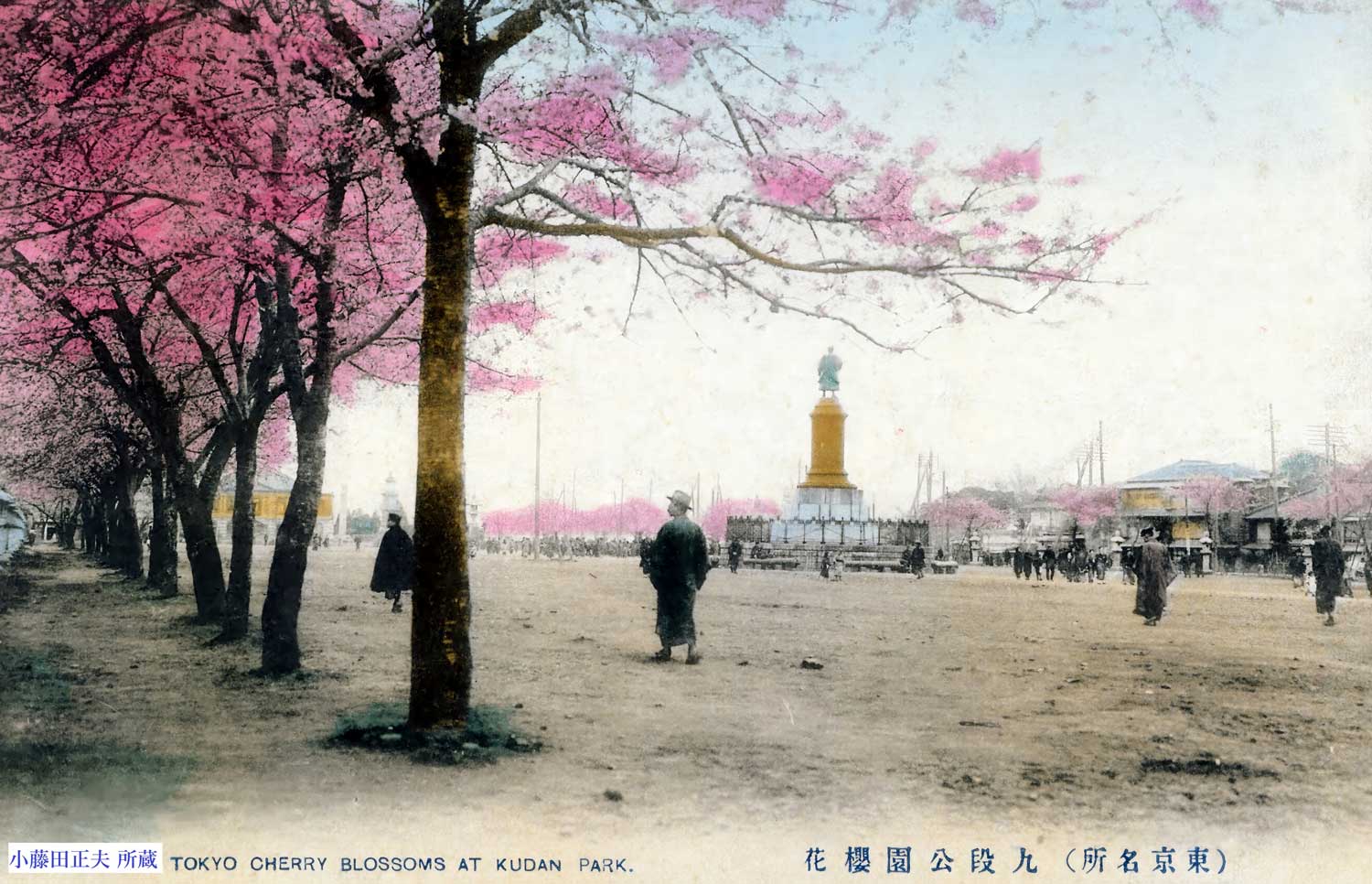 九段坂上の桜林