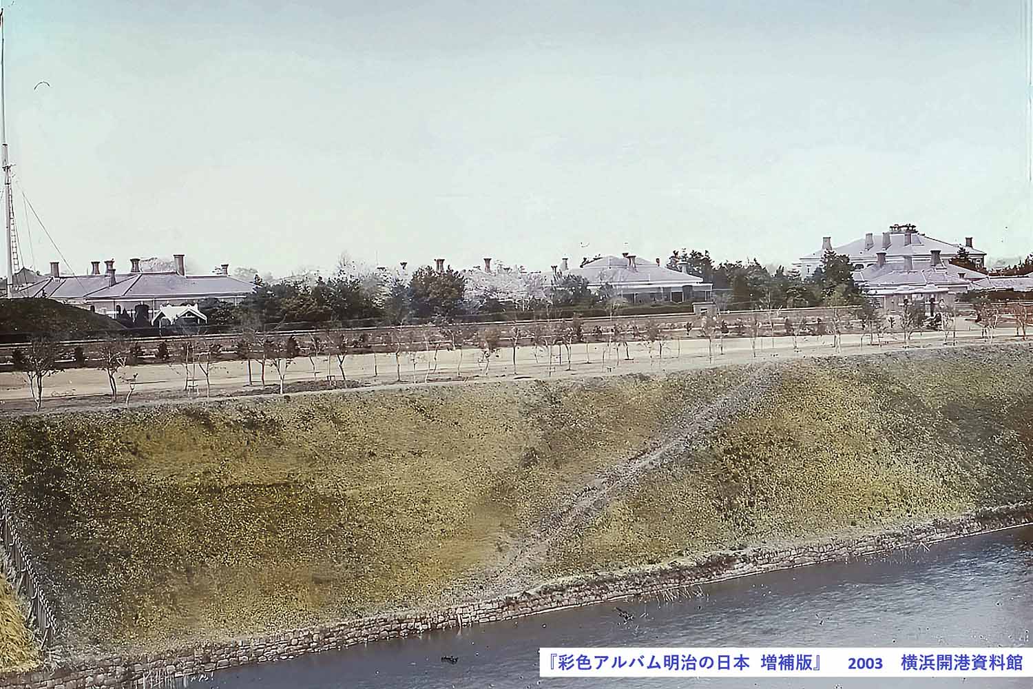 英国公使館前の桜林