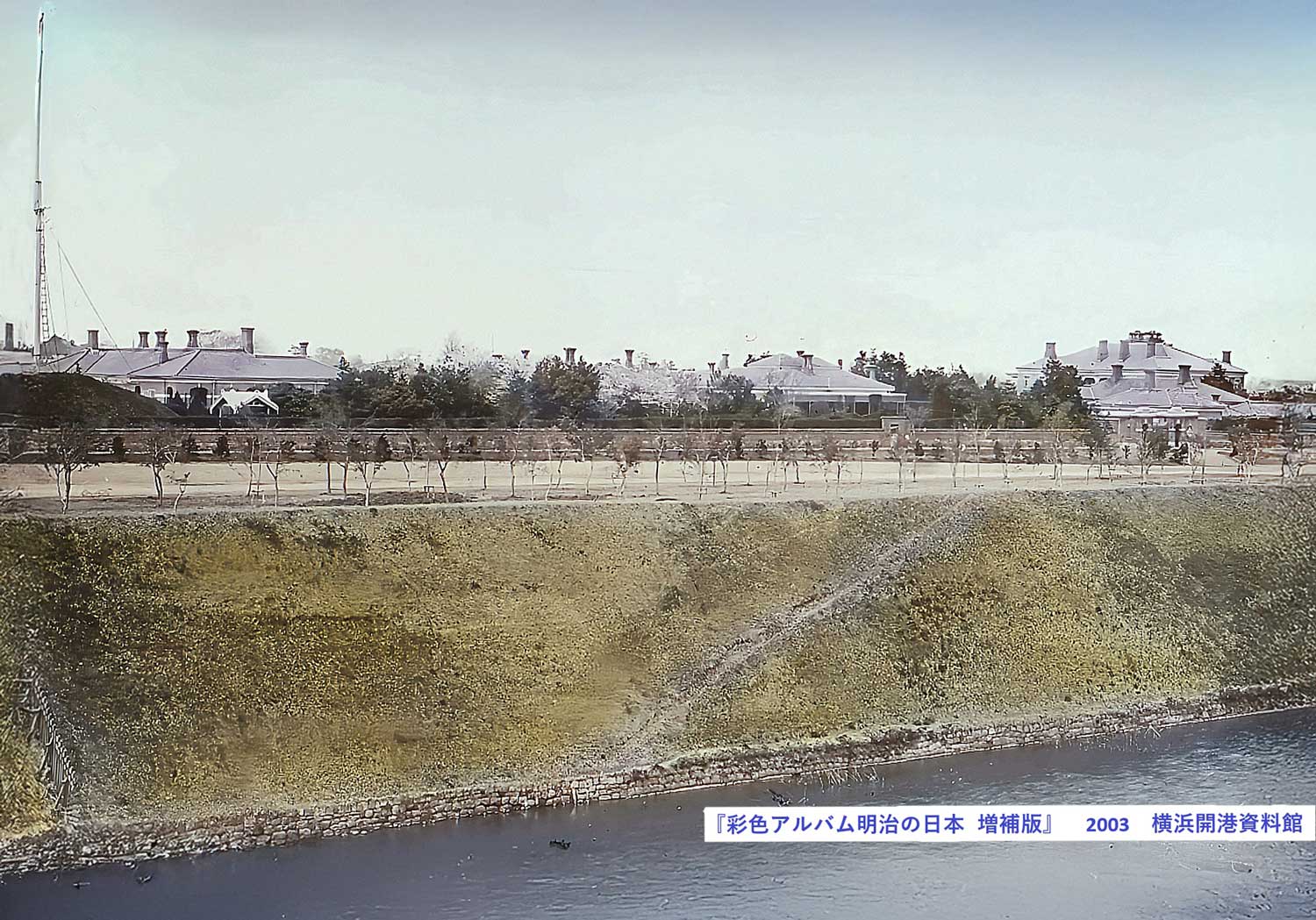 英国公使館前の桜林