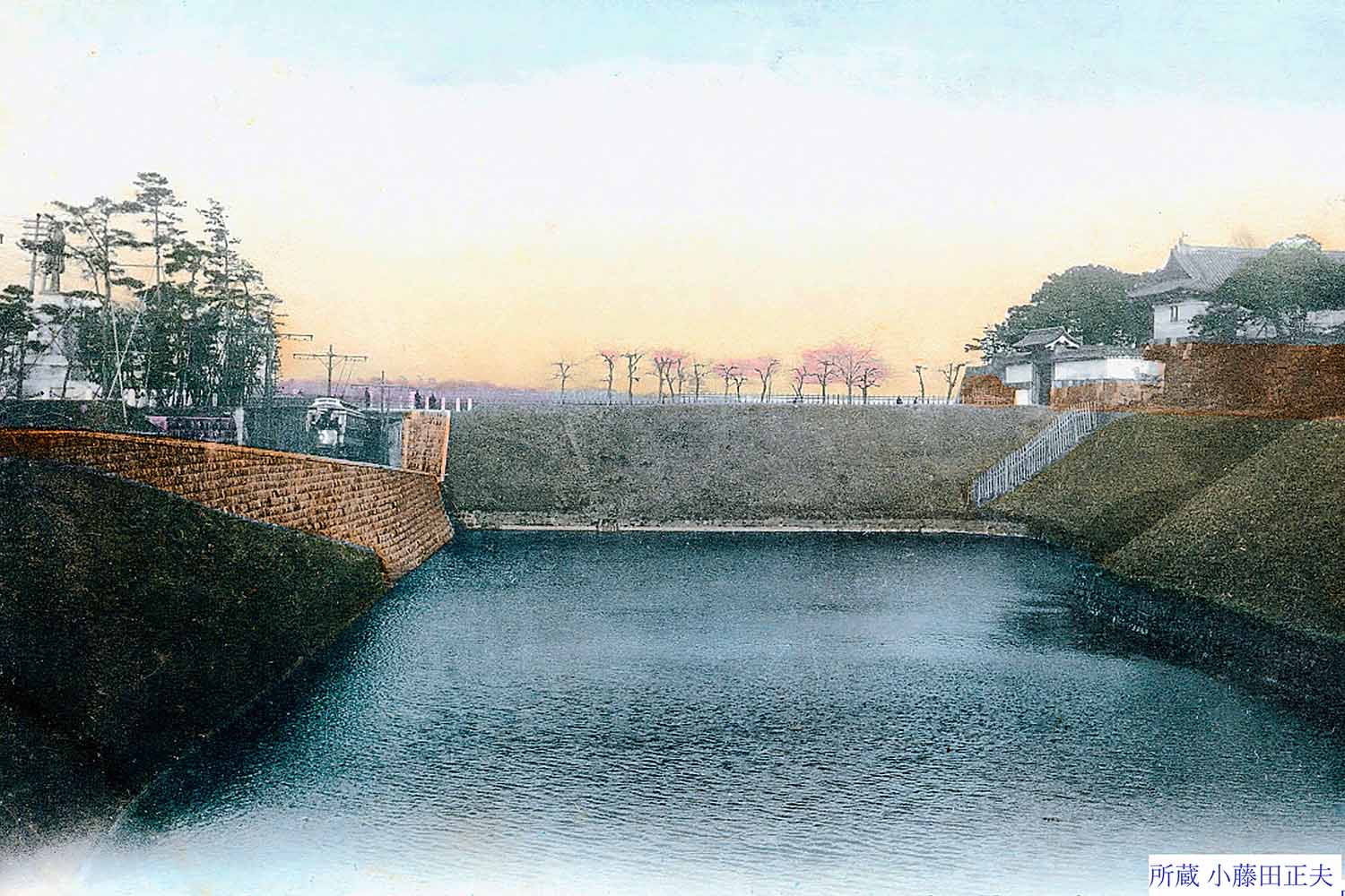 田安門前のサクラ、明治から「昭和のサクラ」へ